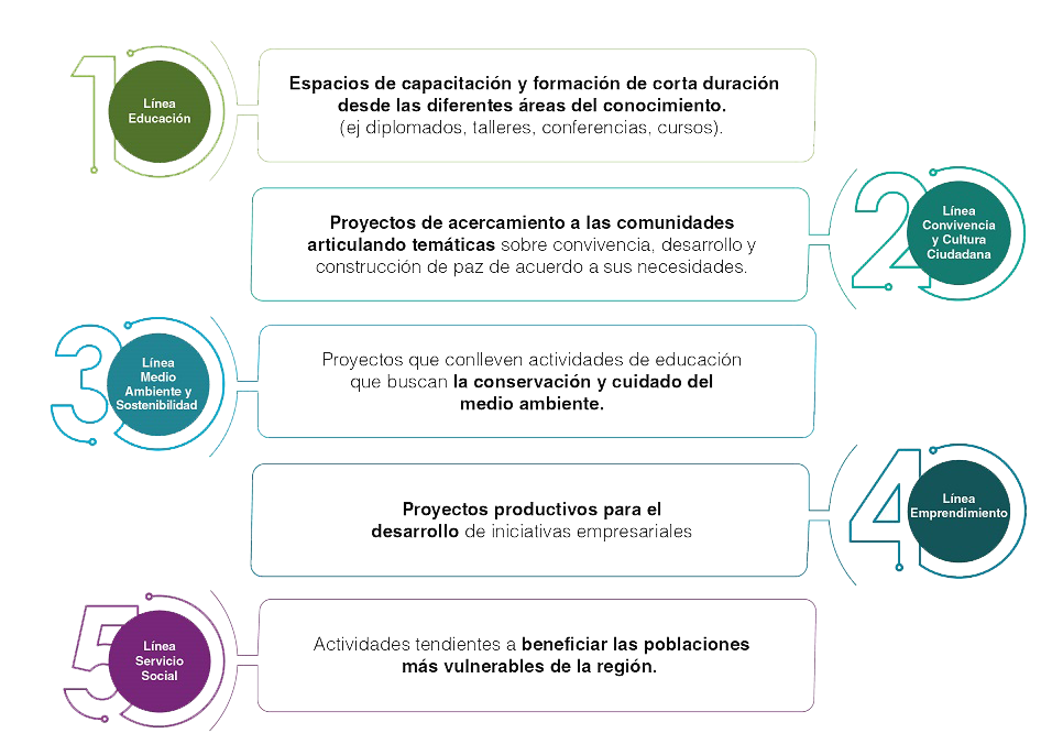 Líneas de acción de Proyección Social